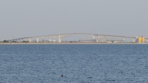 IMG_0985