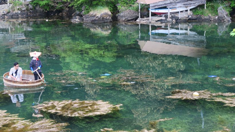 美しいがゆえに物悲しさも 矢島 経島 15 05 04 介護タクシー おおきなお世話