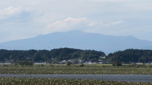 mini_IMG_8306