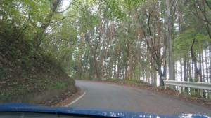 mini_IMG_0532