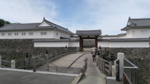 mini_IMG_8775