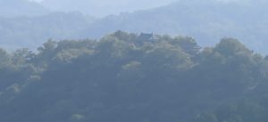 IMG_8598 - コピー
