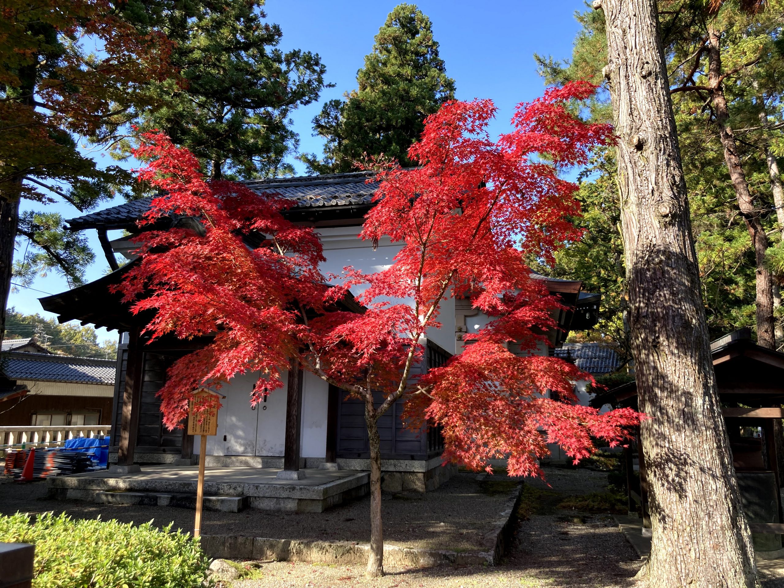 紅葉を満喫 滋賀県 多賀大社 永源寺 11 14 介護タクシー おおきなお世話